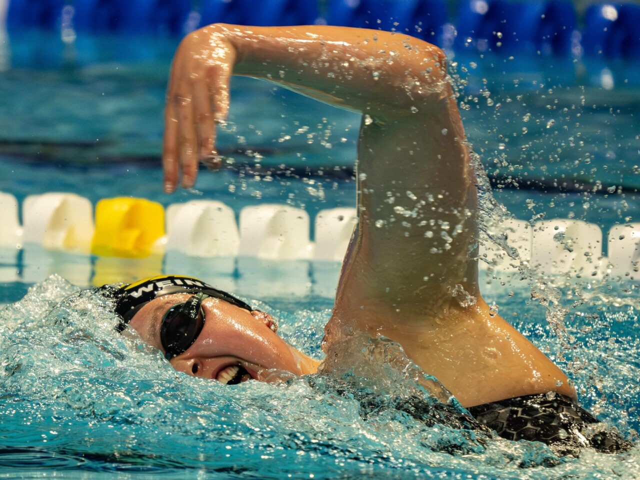 Sandpiper Medal 3.jpg