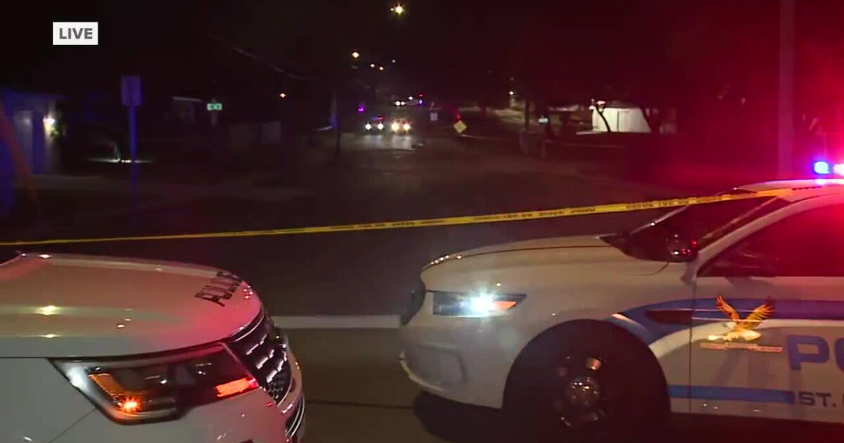 Suspect who hit, killed man with car was victim's brother: St. Pete Police