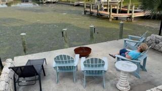 Woman sitting in front of Algae filled canal