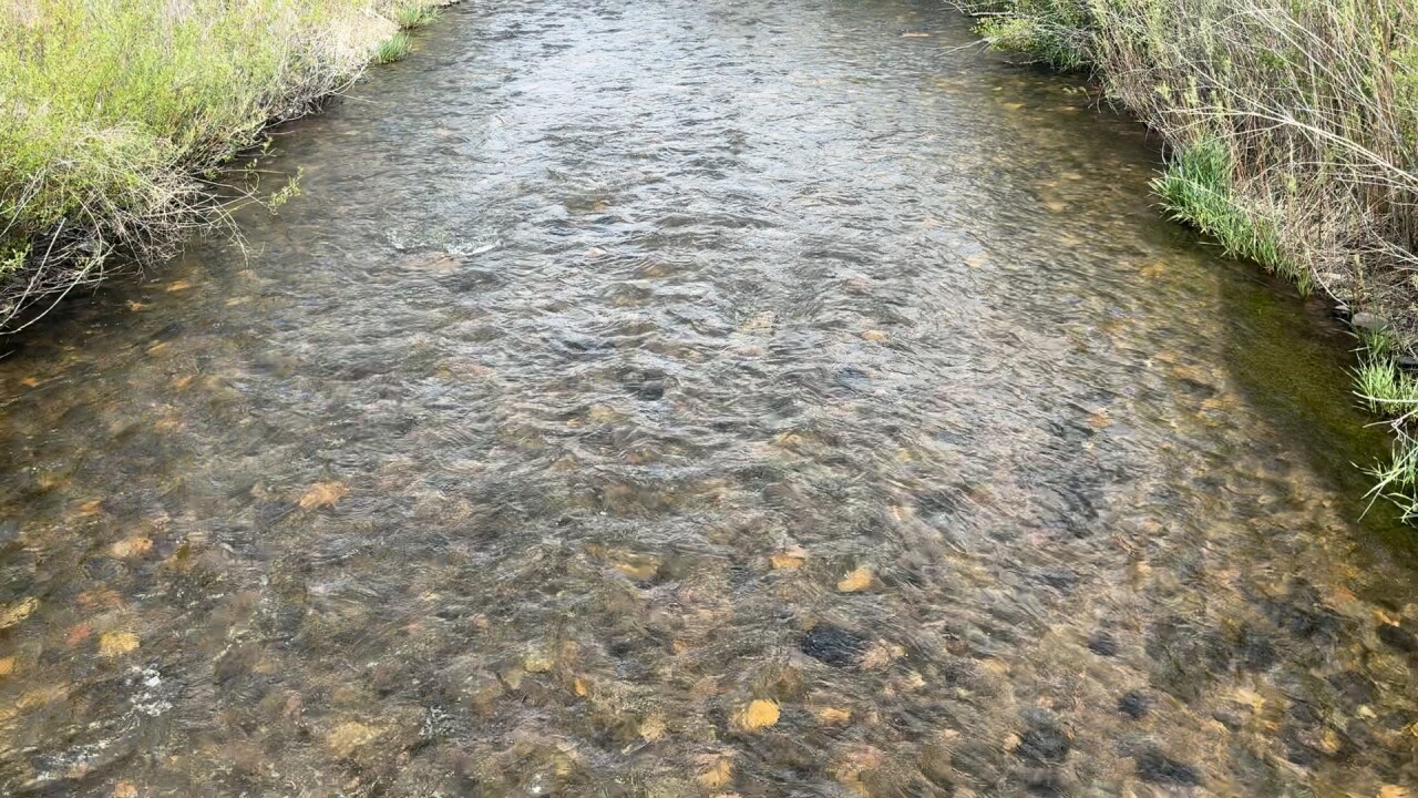 CREEK.jpg