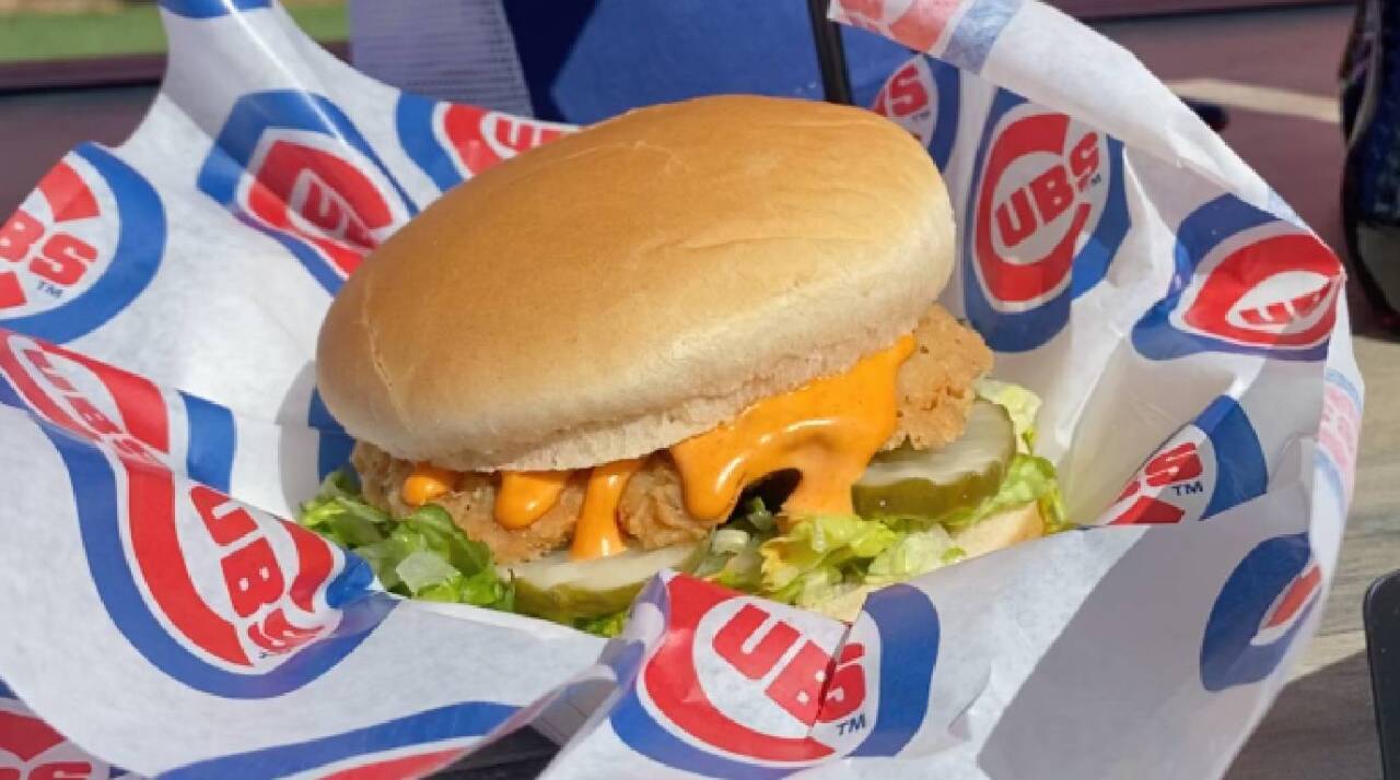 SPICY CHICKEN SANDWICH