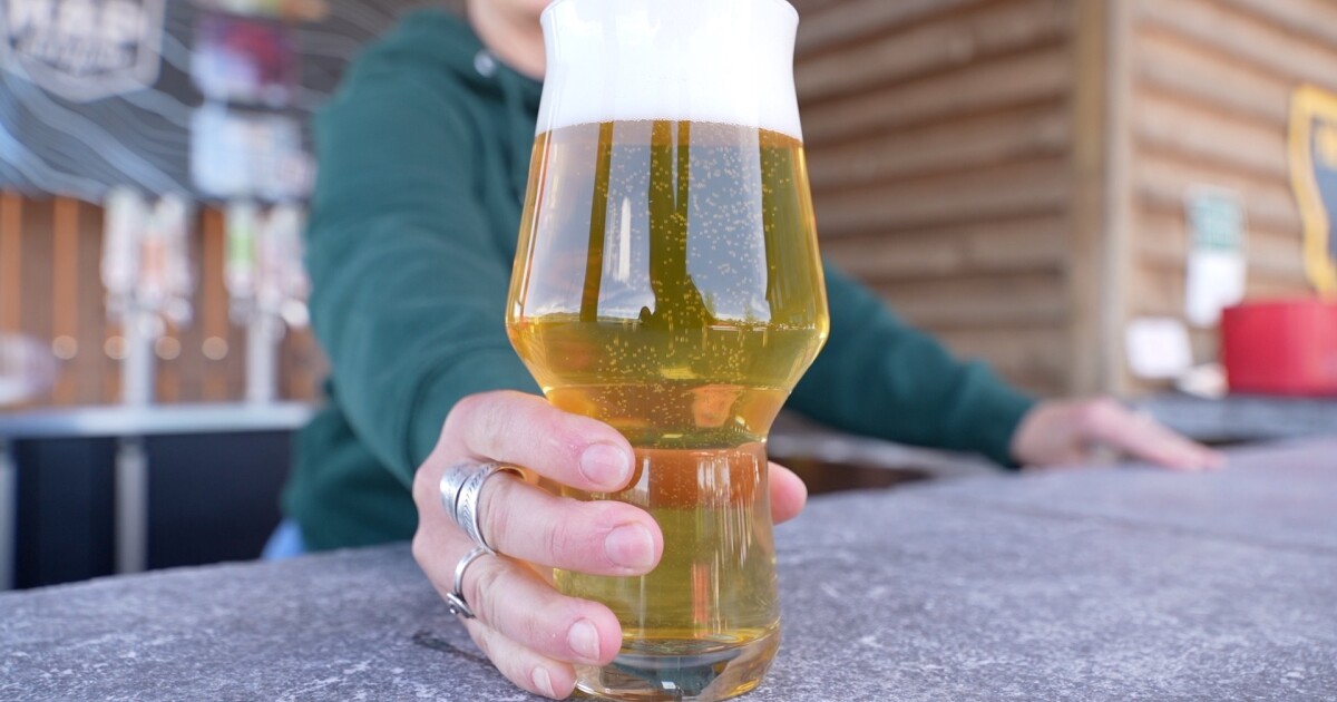 Montana’s Brewing Community Pours $574 Million Into State Economy