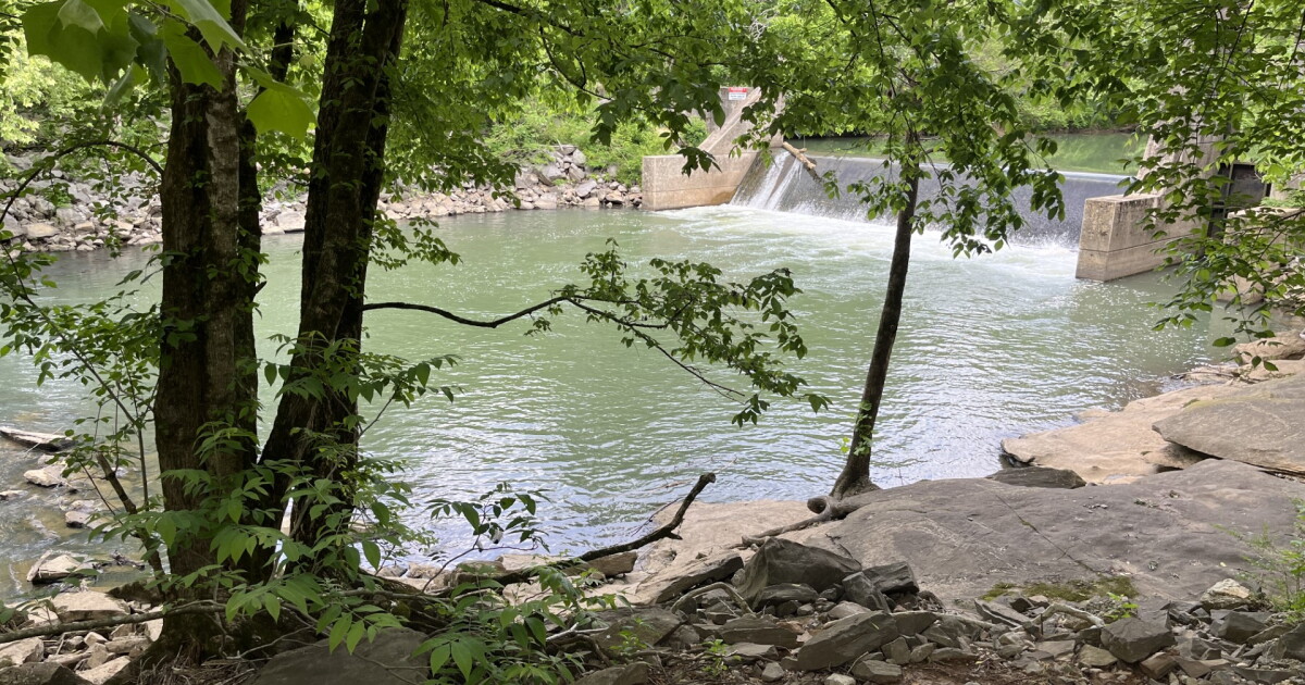 Quick-thinking Sparta police officers rescue stranded kayakers - Vimarsana News