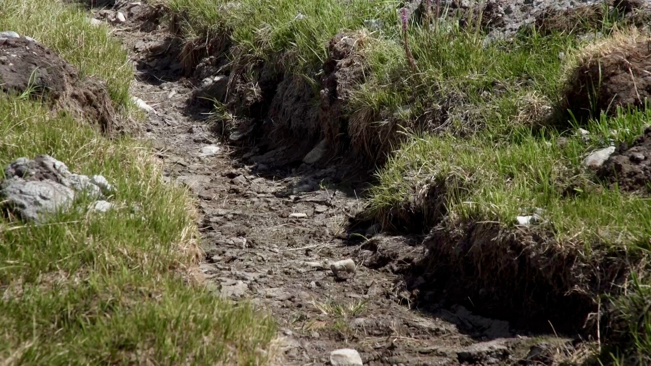 dried up ditches.jpg