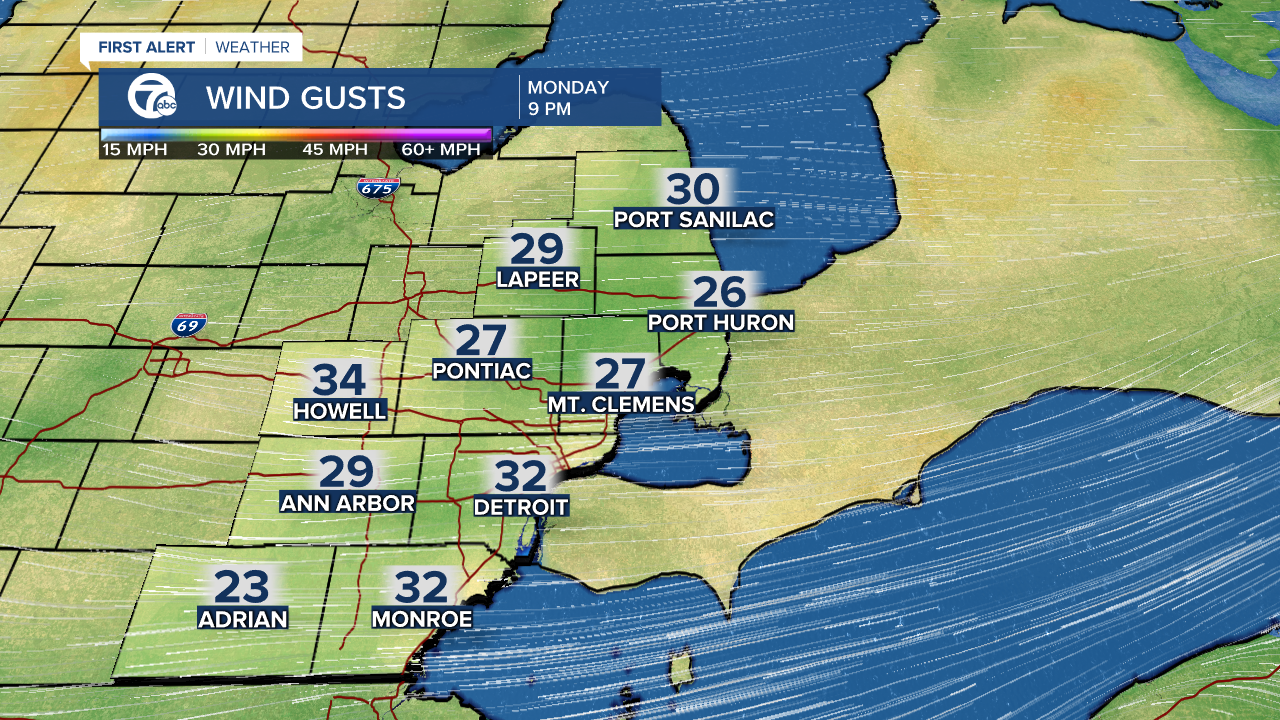 Wind Gusts ECMWF 9Km - Mike.png