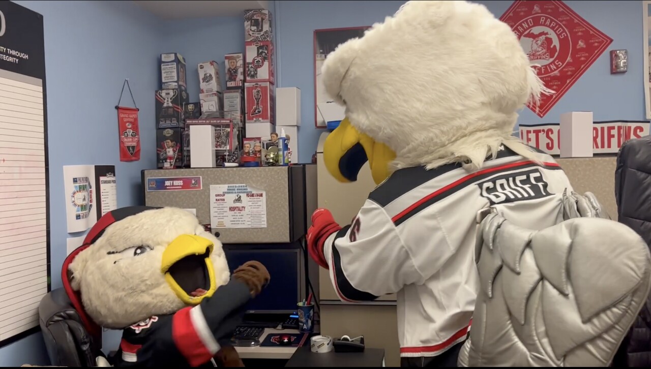 Griff and Finn in doing office work