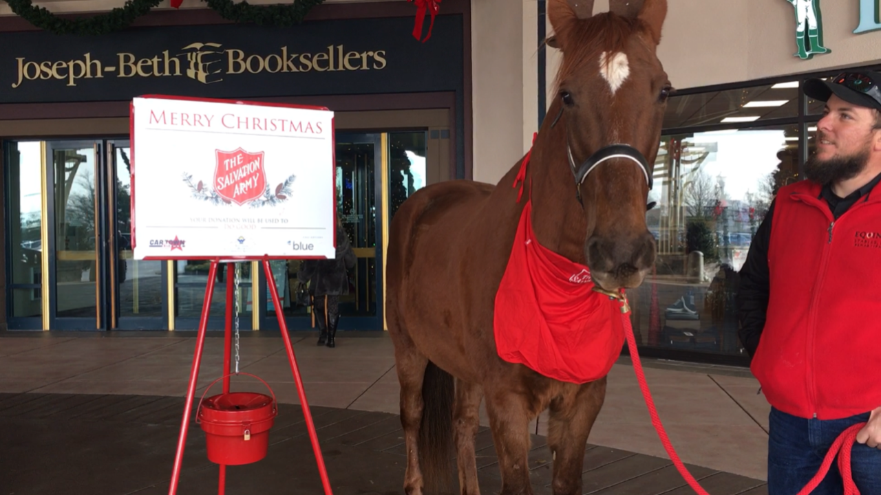 Hank The Bell Ringing Horse Will Ring Bell For Salvation Army