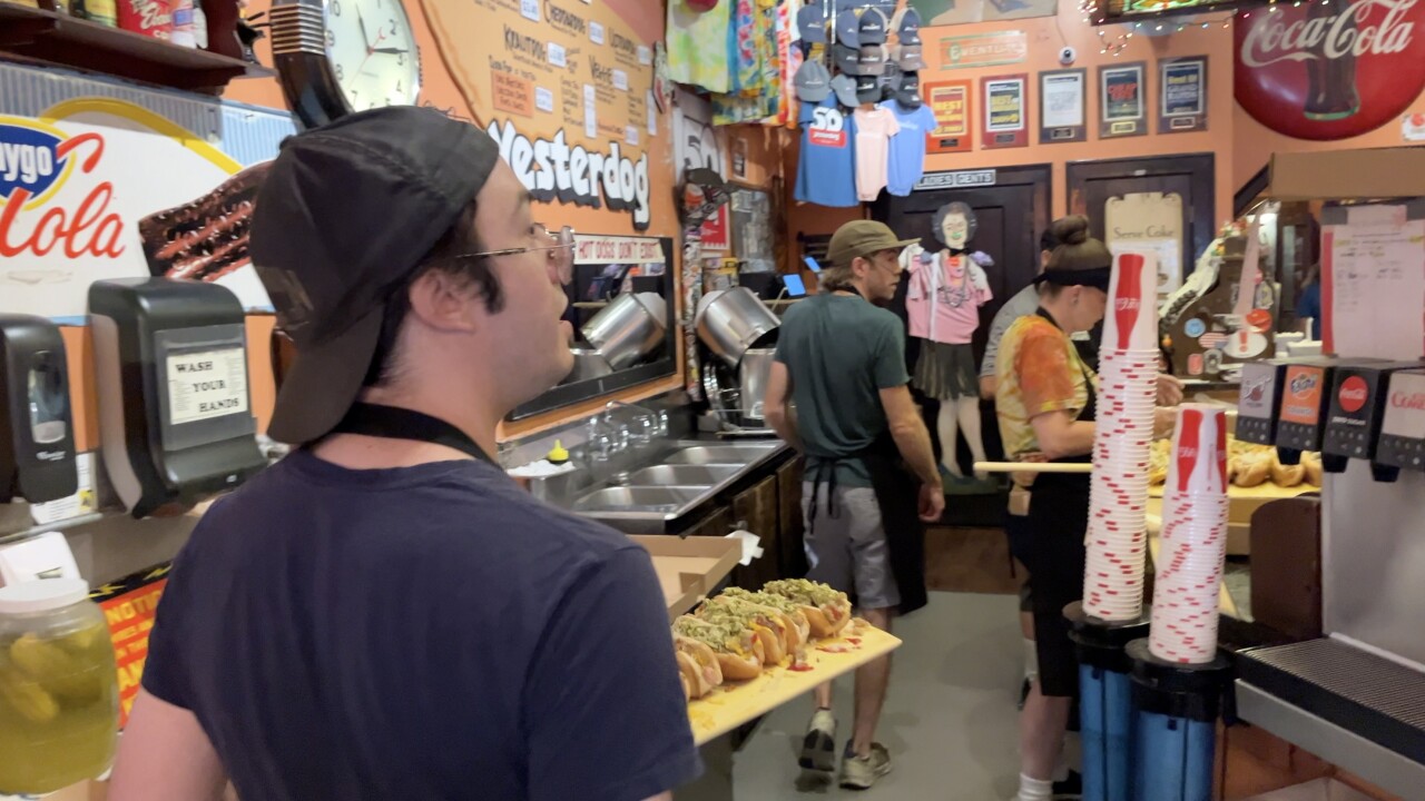 Yesterdog