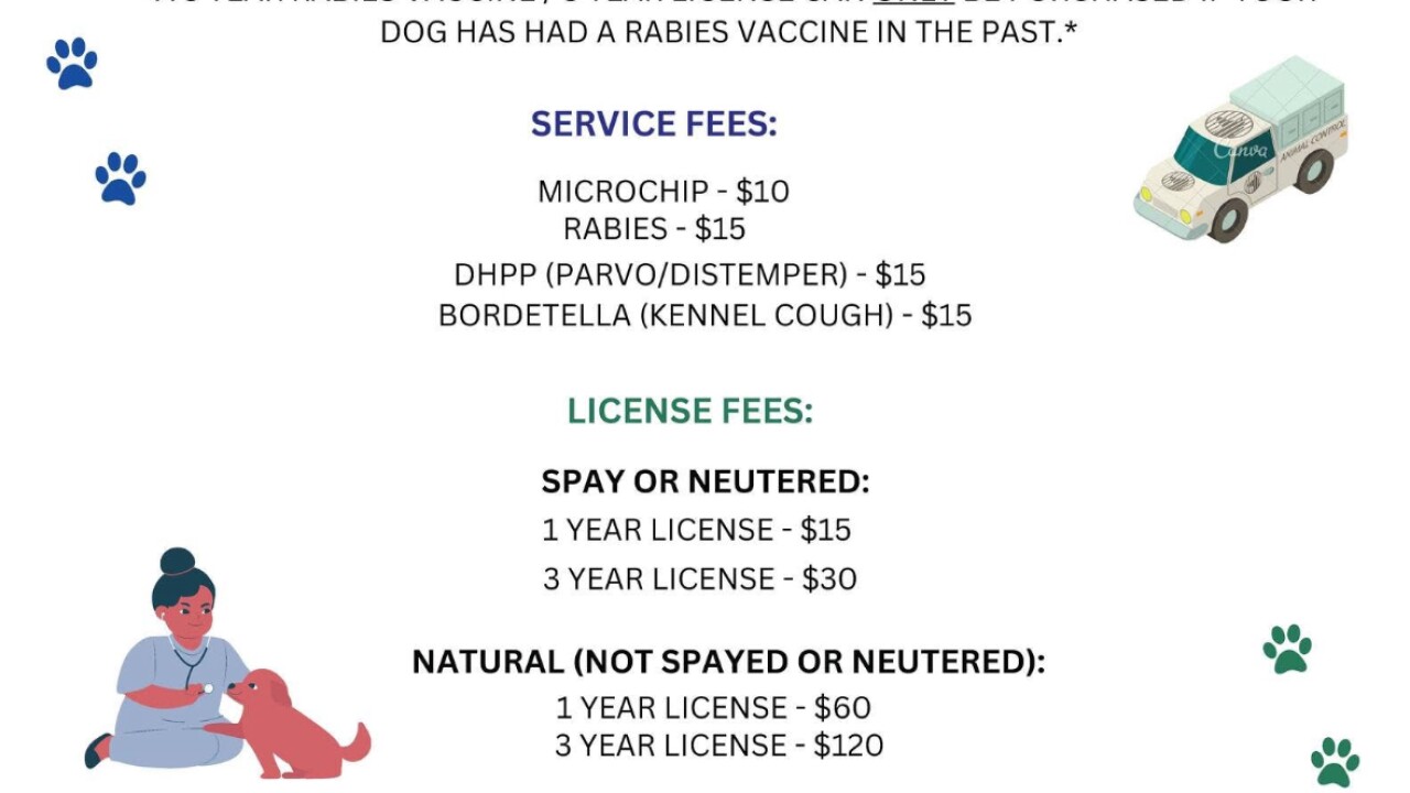 Vaccine and Service Prices for Pet Clinic