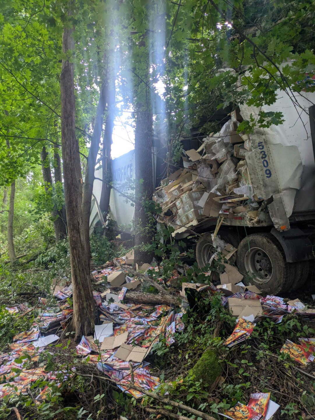 A photo of the crash scene released by IDW Publishing. It's daytime, and the rear of the semi trailer is torn open, comics scattered on the forest floor.