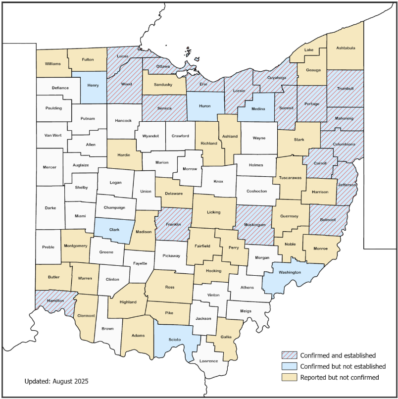 CONFIRMED SLF REPORTS.png