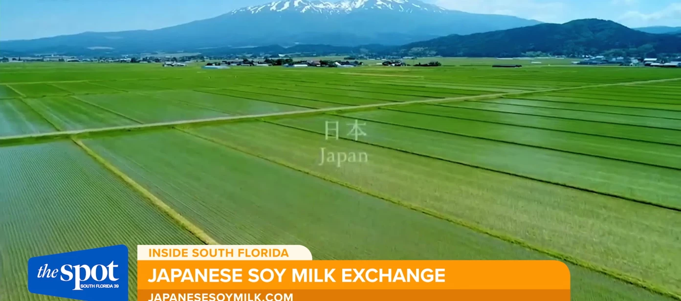 Japanese soymilk gains attention as a plant-based protein source