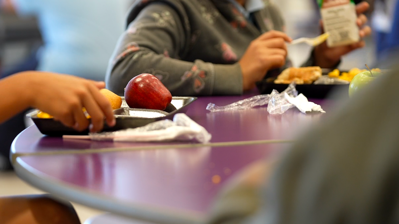 USDA bans school lunch fees for families