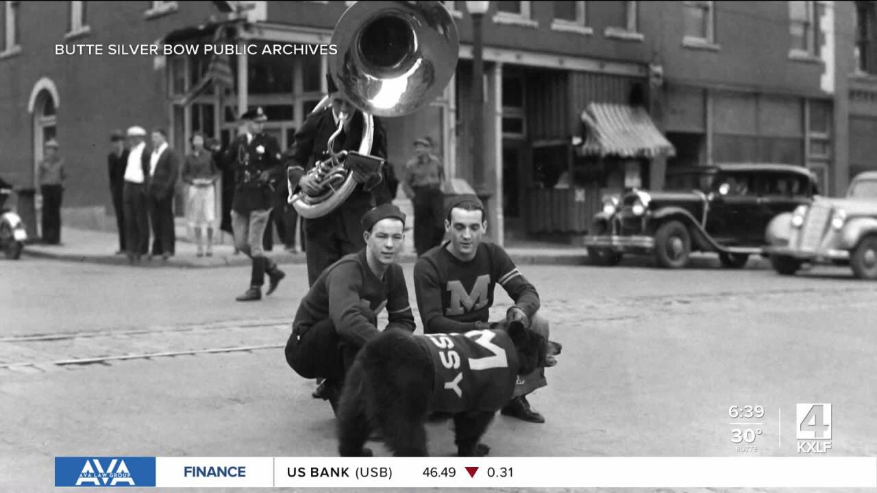 Poster image (13).jpg