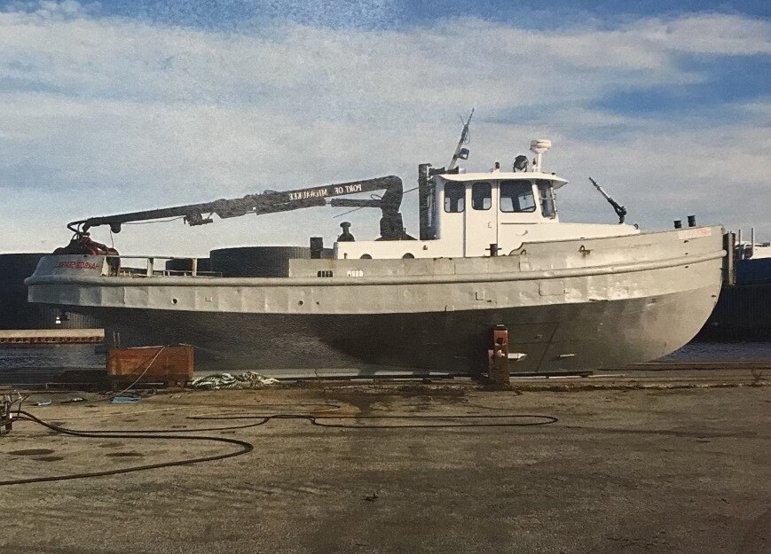 Harbor Seagull