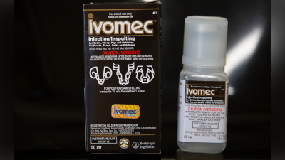 ivermectin