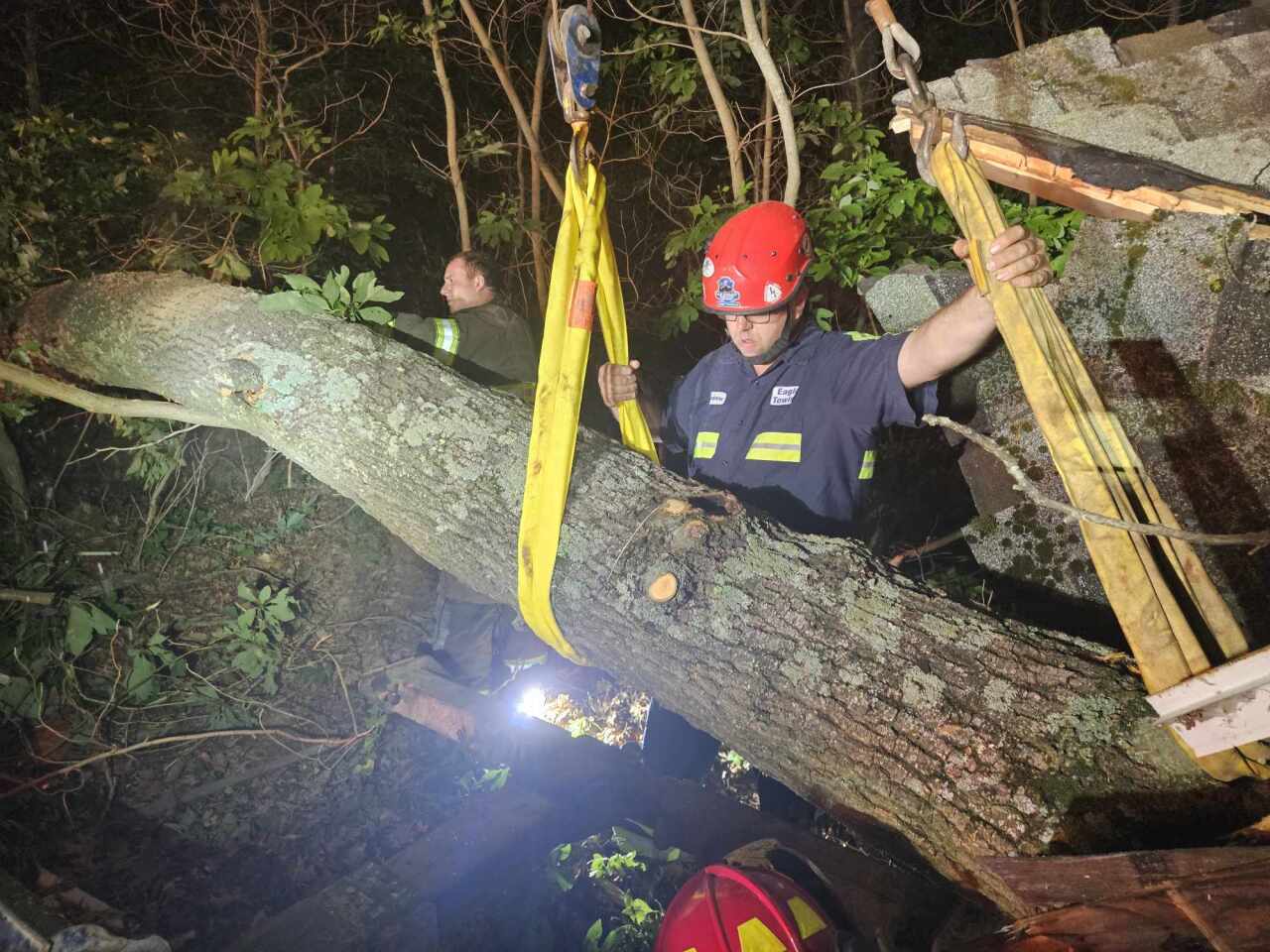 Eleven rescued after tree falls on cabin - A&M Management LLC