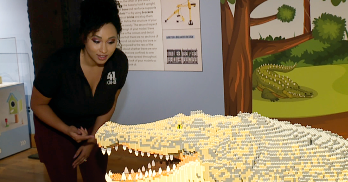 One Tank Trips | Daisha visits Bricktionary: The Ultimate LEGO A-Z - Vimarsana News