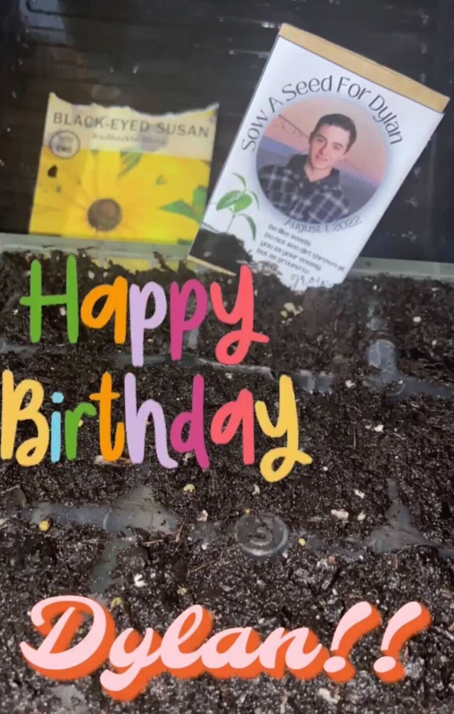 Nikki Gilliam (Kentucky).jpg