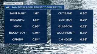 Rain Totals- 7-21-25