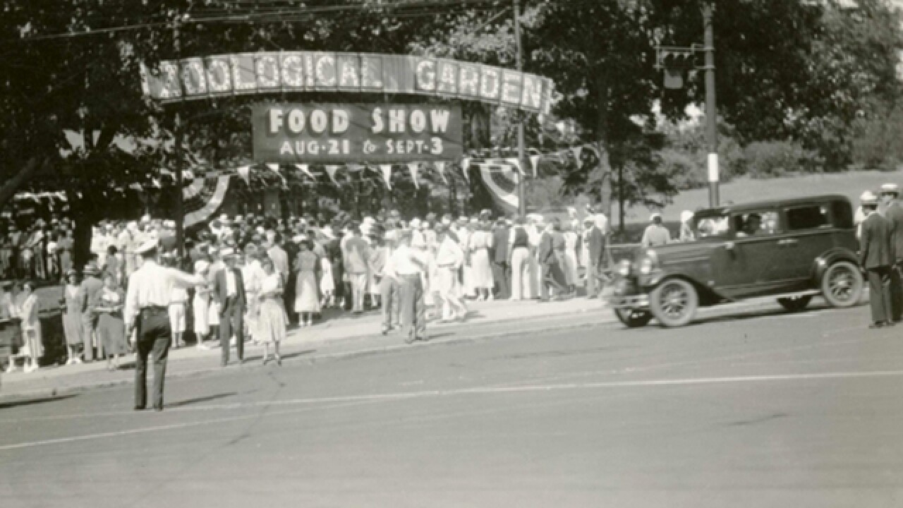 Interactive 140 Years Of The Cincinnati Zoo