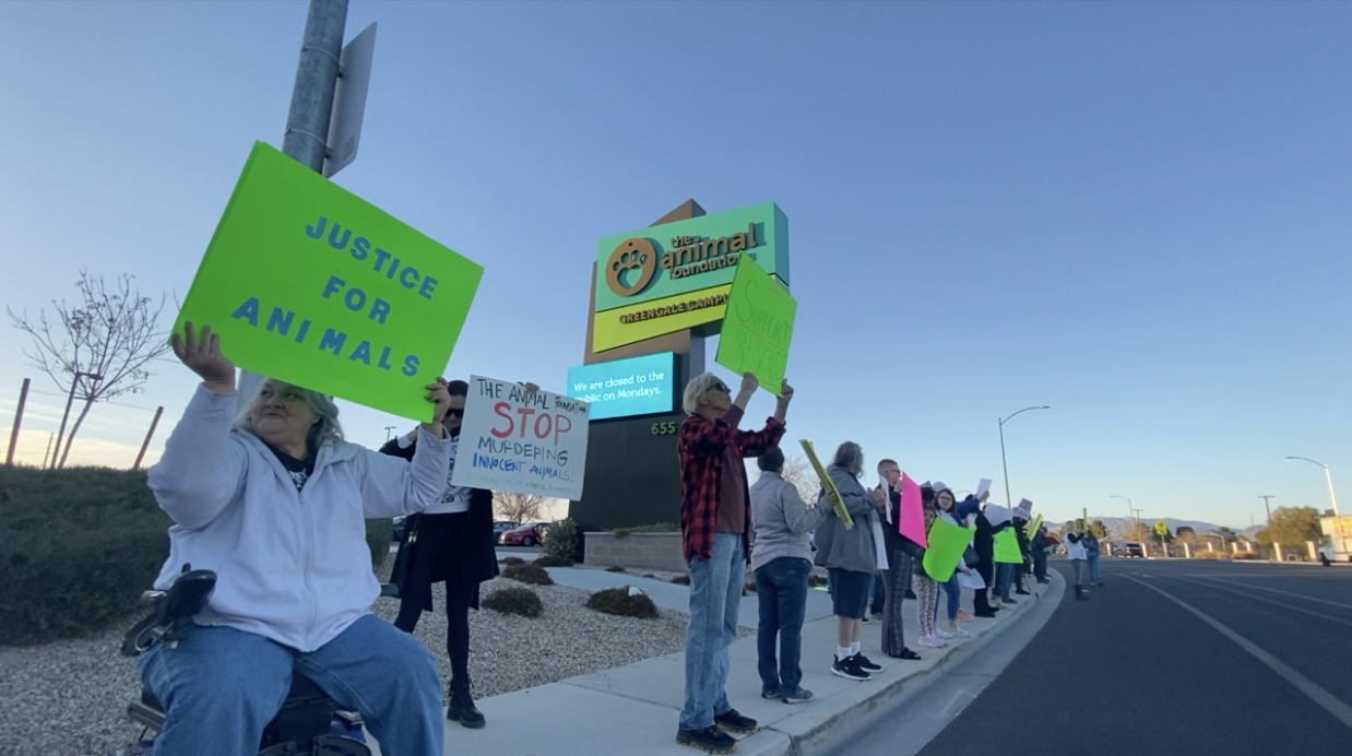 Animal Foundation Protest