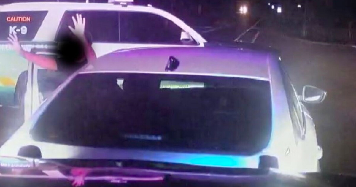 Siblings, 10 and 11, stopped while driving mom's car 200 miles from home - Vimarsana News