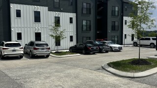 IMG_8239.jpeg