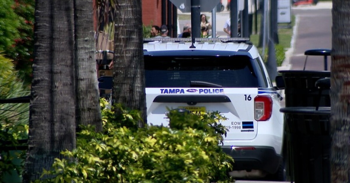 Advocates in Tampa explore solutions to address teen gun violence issue