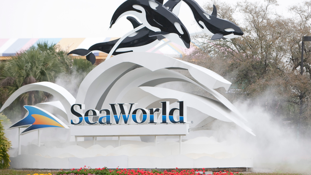 SeaWorld 2019 events