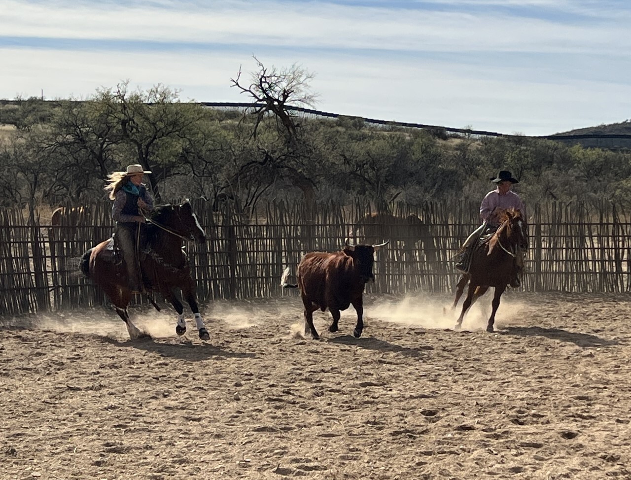 Rancho de la Osa cutting cattle