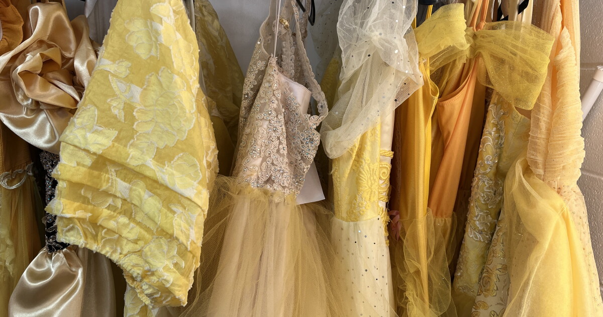 Magical Moment: Giving every cast member a chance to shine as Belle or the Beast - Vimarsana News