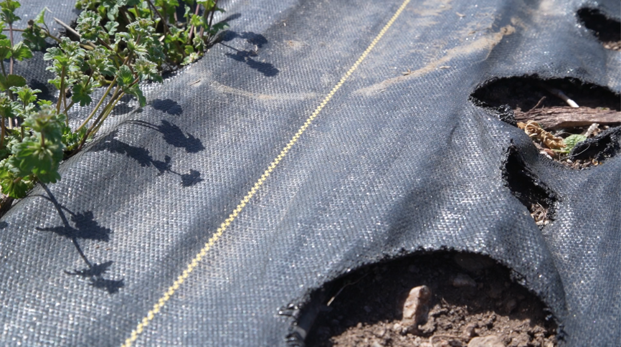 Landscaping Fabric.png