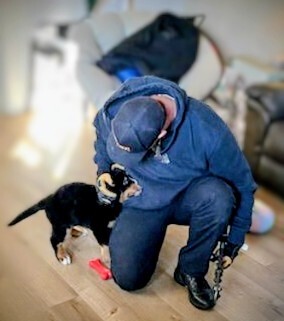 10-week-old puppy rescued by Kansasville Fire and Rescue Department after getting her head stuck in a table