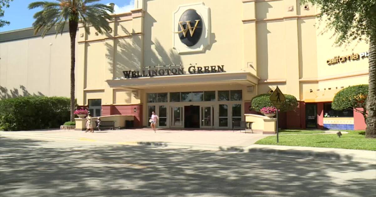 Palm Beach County parents and commissioner respond to teen takeover trend at Wellington mall