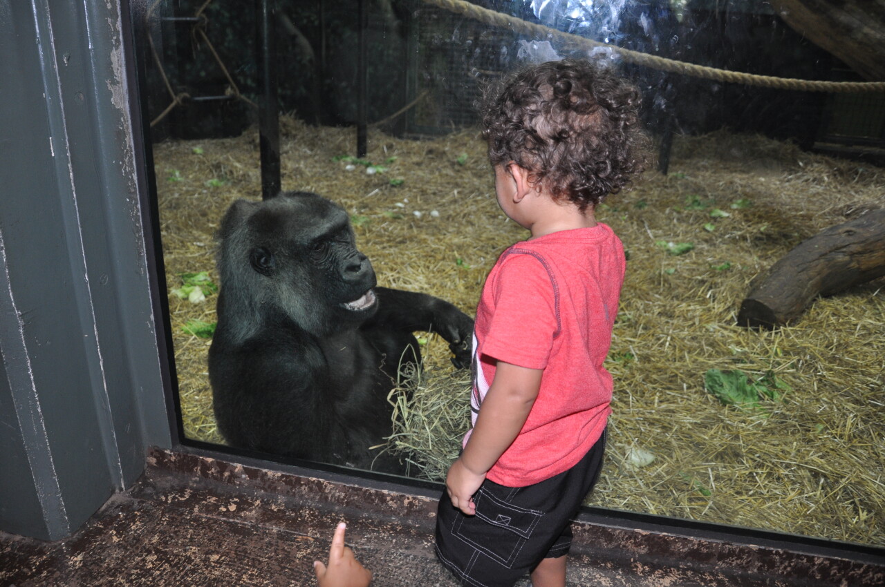 2016-9-6 helen with kiddo_kyleshepherd.jpg