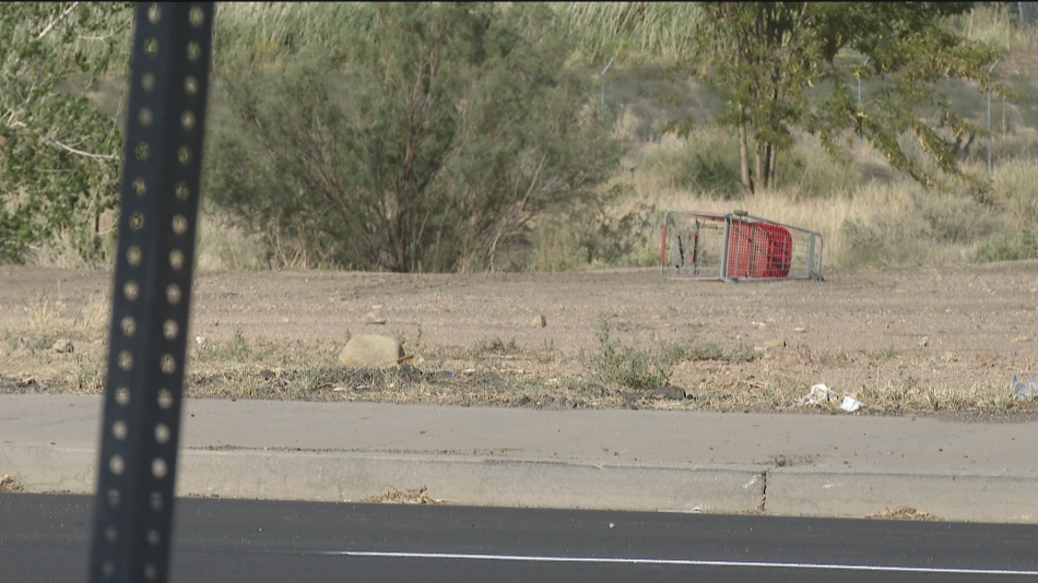 Pueblo Shopping Carts