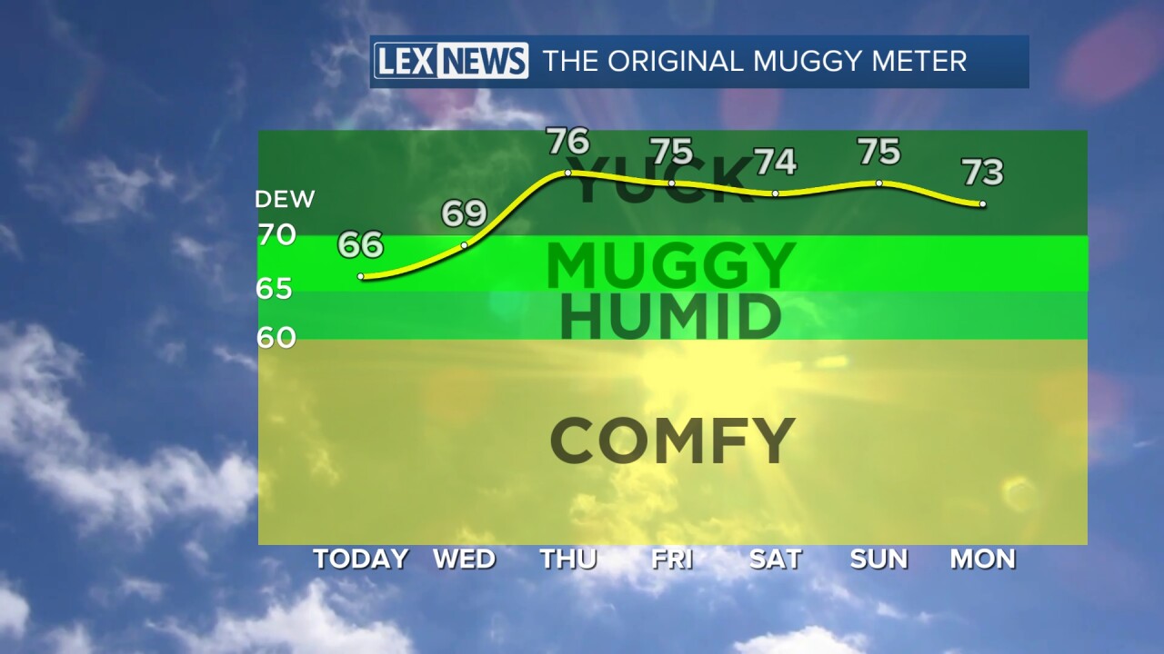 714muggy.jpeg