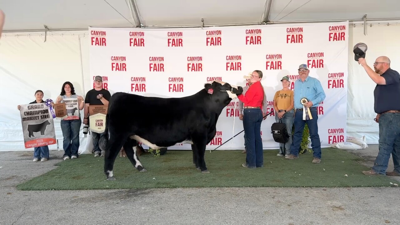 Grand Champion and Sheer Audrey Millsap