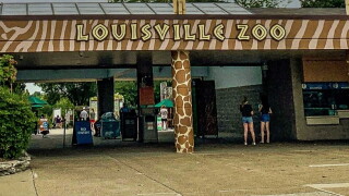 LouisvilleZoo.jpg