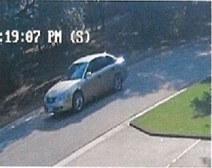 (Source: Temple PD)