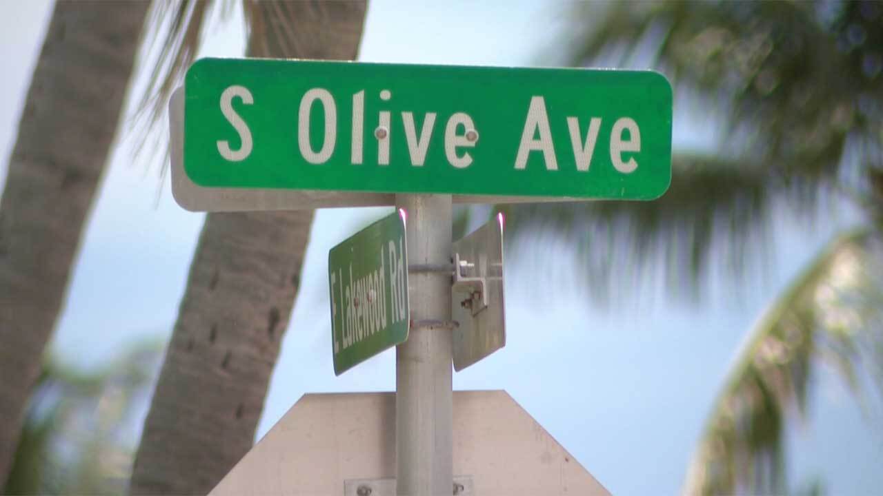 The West Palm Beach Police Department is asking for the public's help in identifying the driver involved in a crash that killed a 28-year-old man on July 6, 2026, in the 4900 block of S. Olive Avenue.