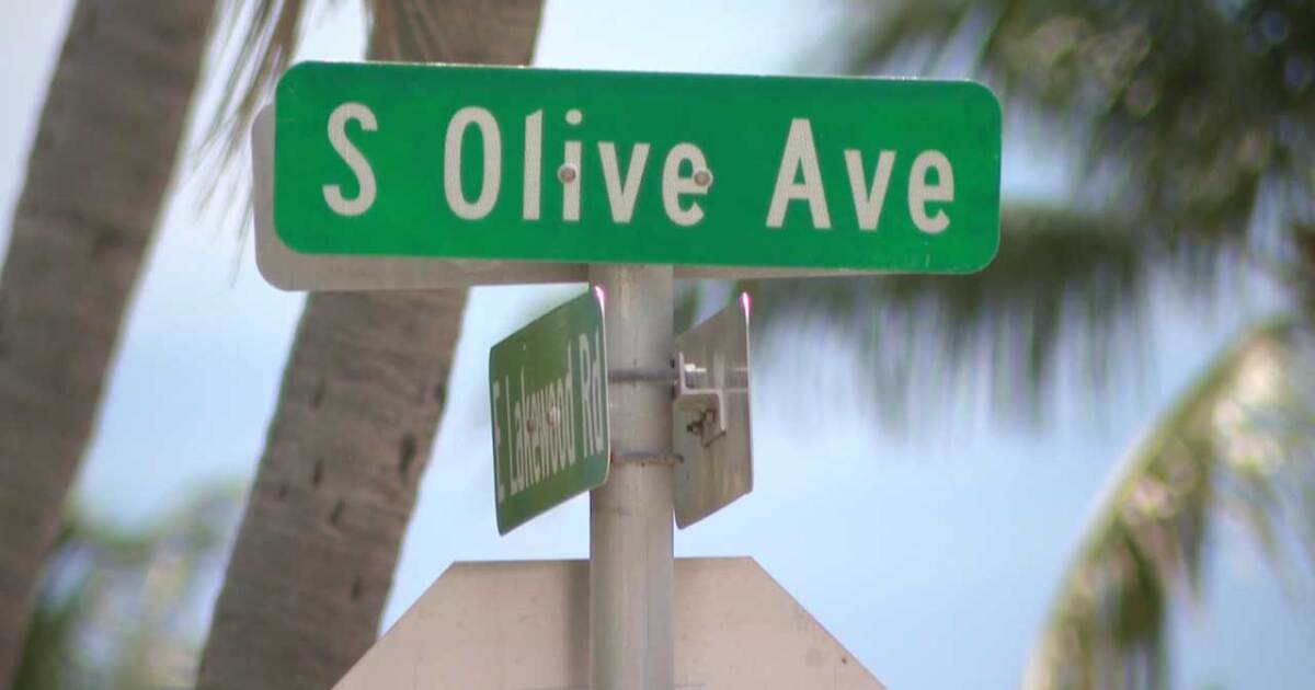 West Palm Beach Police seek driver in hit-and-run that killed restaurant worker Samantha Roesler