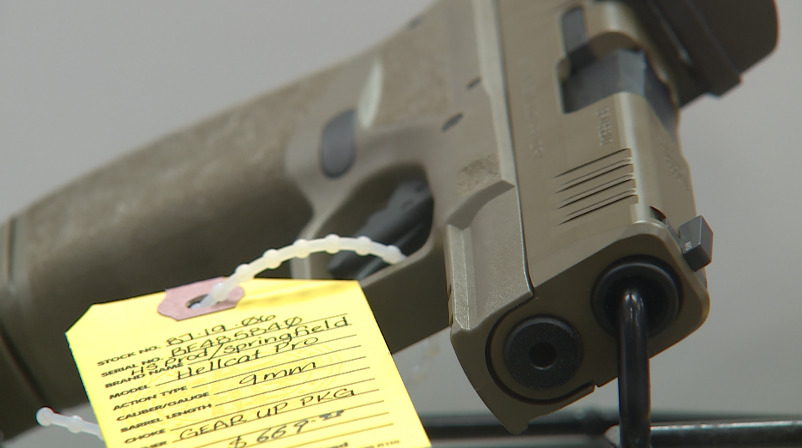 Gun