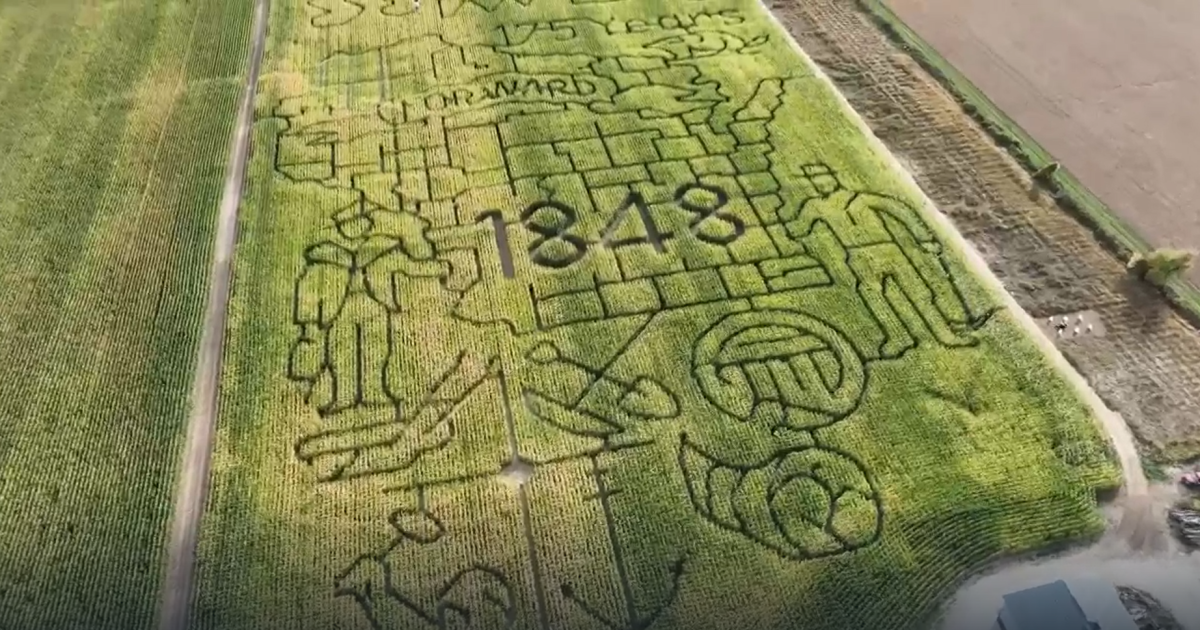 This Wisconsin-inspired corn maze is attracting fall lovers near and far - Vimarsana News