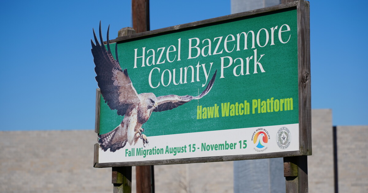 Hazel Bazemore Park unveils new splash pad & restrooms - Vimarsana News