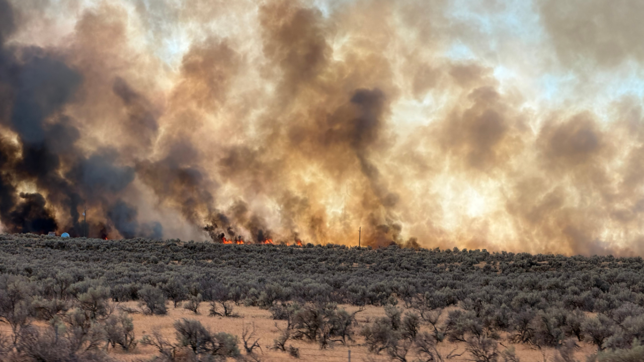 reservoir fire.png