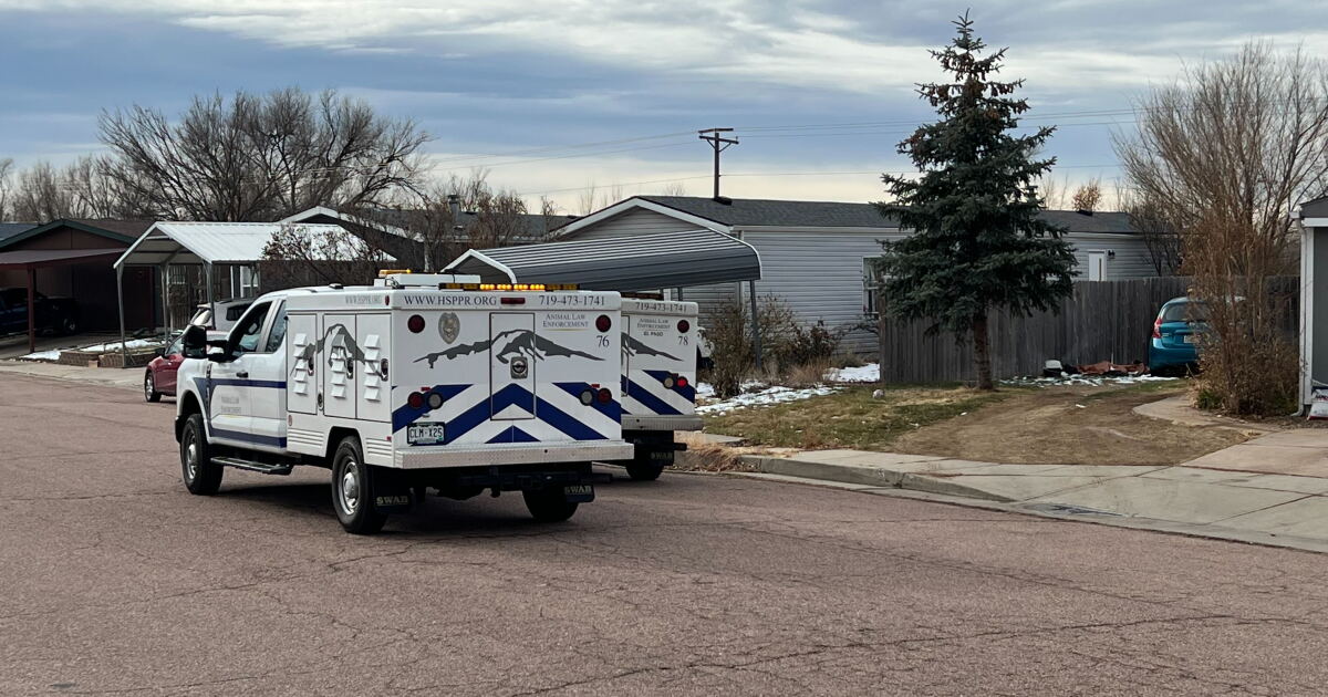 Animal Law Enforcement seizes four dogs in Fountain following alleged attack - Vimarsana News