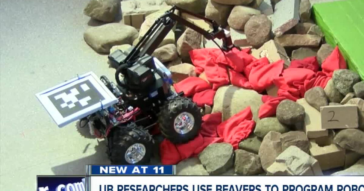 Beaverbot Invention How are beavers making robots better at UB?