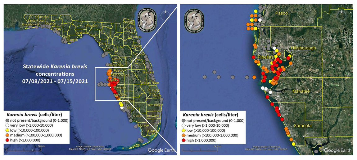 Unde este cel mai rău roșu din Florida?